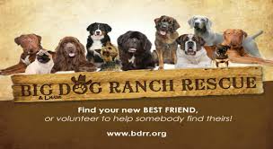 Big God Ranch Rescue