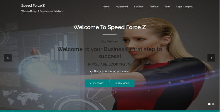 Speed Force Z Website Design & Development Solutions